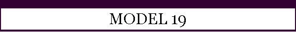 MODEL 19